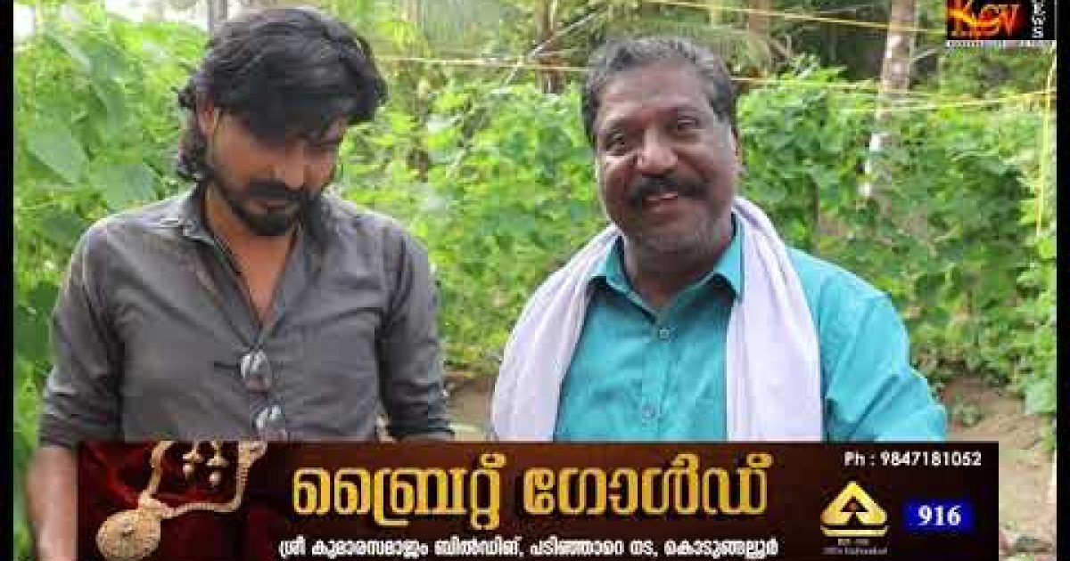 കുക്കുമ്പർ കൃഷി വിളവെടുപ്പ്