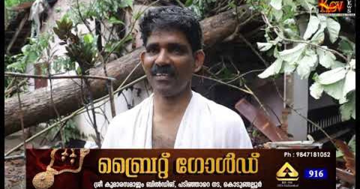കോട്ടപ്പുറം കോട്ടയിൽ തേക്ക് വീണ് വീട് തകർന്നു