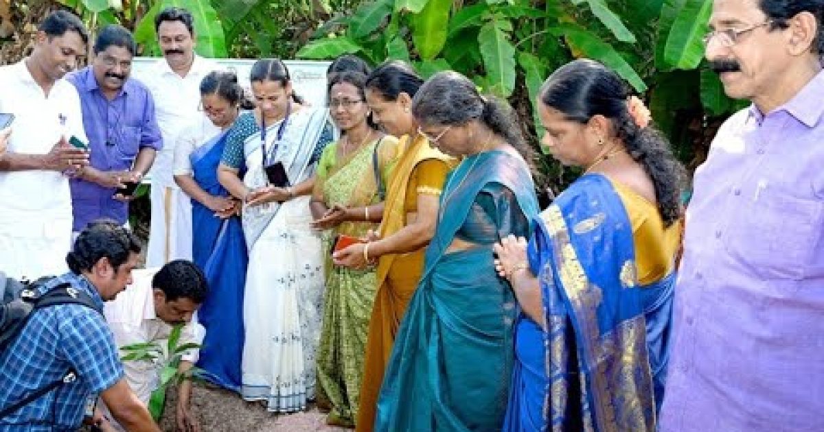 പച്ച തുരുത്ത്