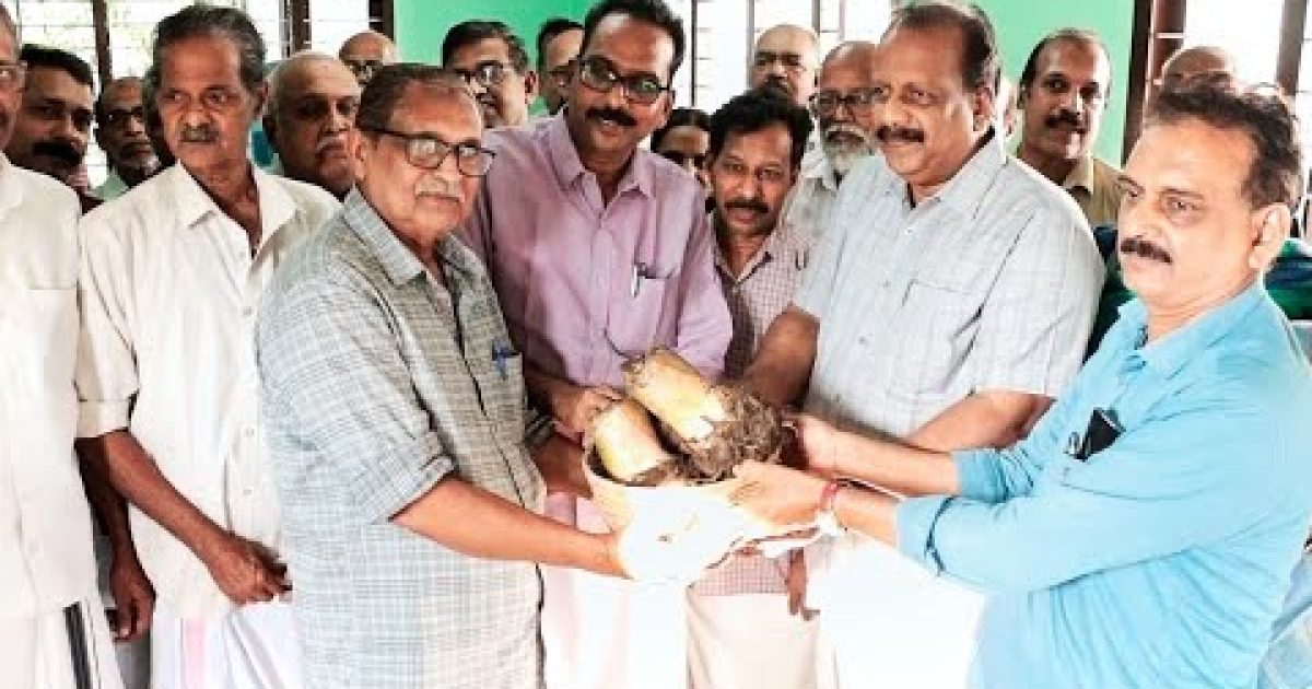 വാഴകന്ന് വിതരണം